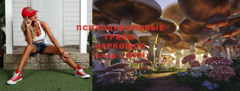 Галлюциногенные грибы MAGIC MUSHROOMS  Белинский 